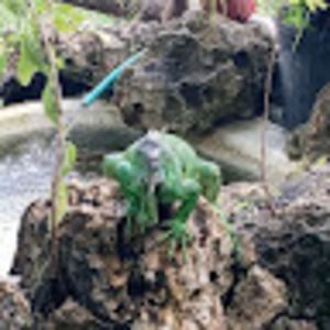 Meet your Posher, Thennay